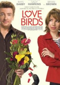 Постер Любовные пташки