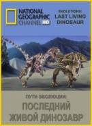 Постер Пути эволюции. Последний живой динозавр