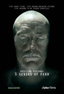 Постер 5 чувств страха