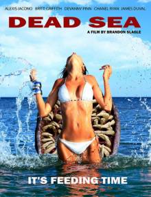 Постер Мёртвое море