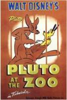 Постер Плуто в зоопарке