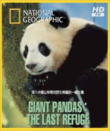 Постер Большие панды: Последнее прибежище