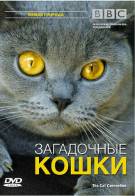 Постер BBC: Загадочные кошки