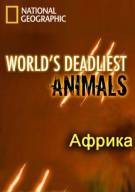 Постер Самые опасные животные мира: Африка [выпуск 3]