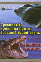 Постер Звериные баталии: Гребнистый крокодил против большой белой акулы  [выпуск 1]
