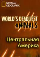 Постер Самые опасные животные мира: Центральная Америка [выпуск 8]