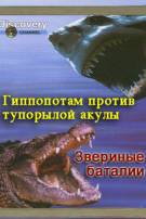 Постер Звериные баталии: Гиппопотам против тупорылой акулы [выпуск 3]
